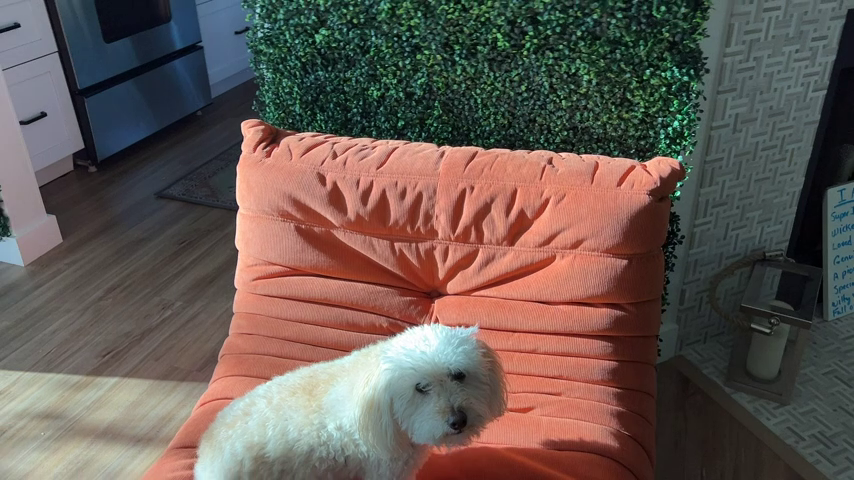 【Furniture】Chair with Ottoman, Soft Suede Oversized Chair with Ottoman Lazy Floor Sofa